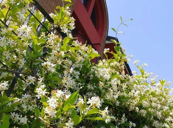 Le Volte Apart Otel 3*